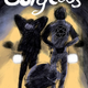 Illustration for article titled Koyama exclusive: Anarchist punks hit the road in iGorgeous/i